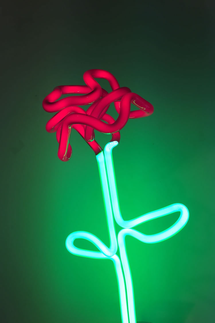 Jonathan Thomson Art | Sculpture | Light | Electric Flowers