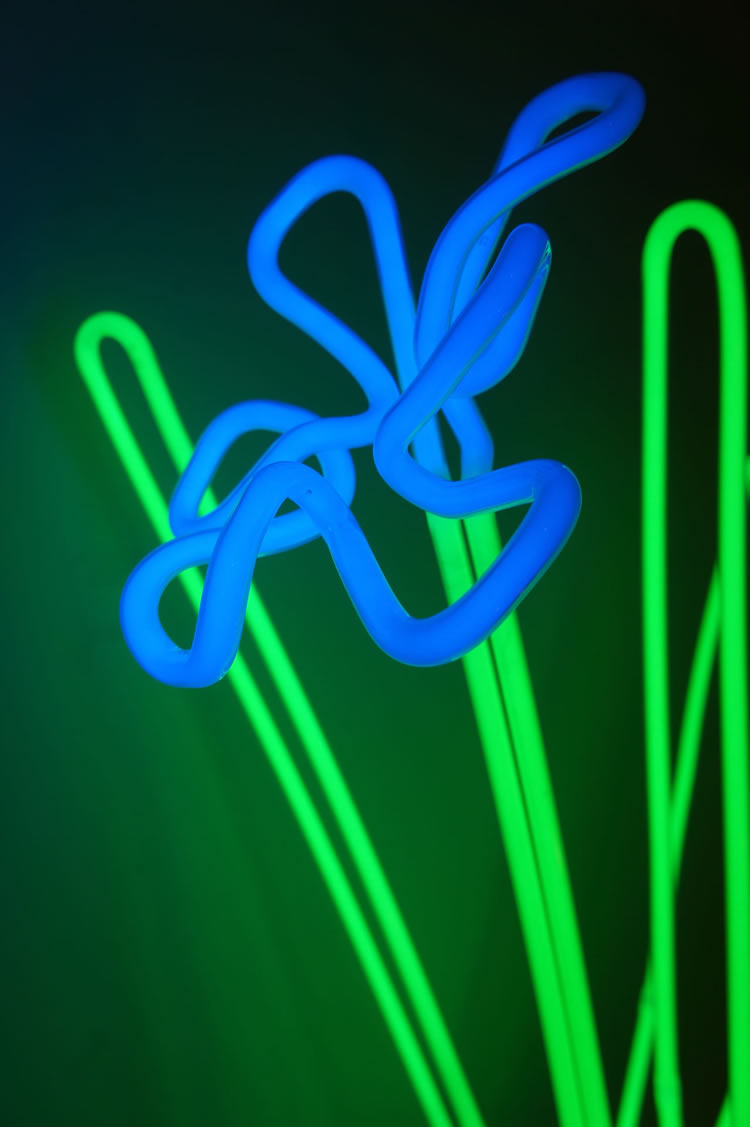 Jonathan Thomson Art | Sculpture | Light | Electric Flowers