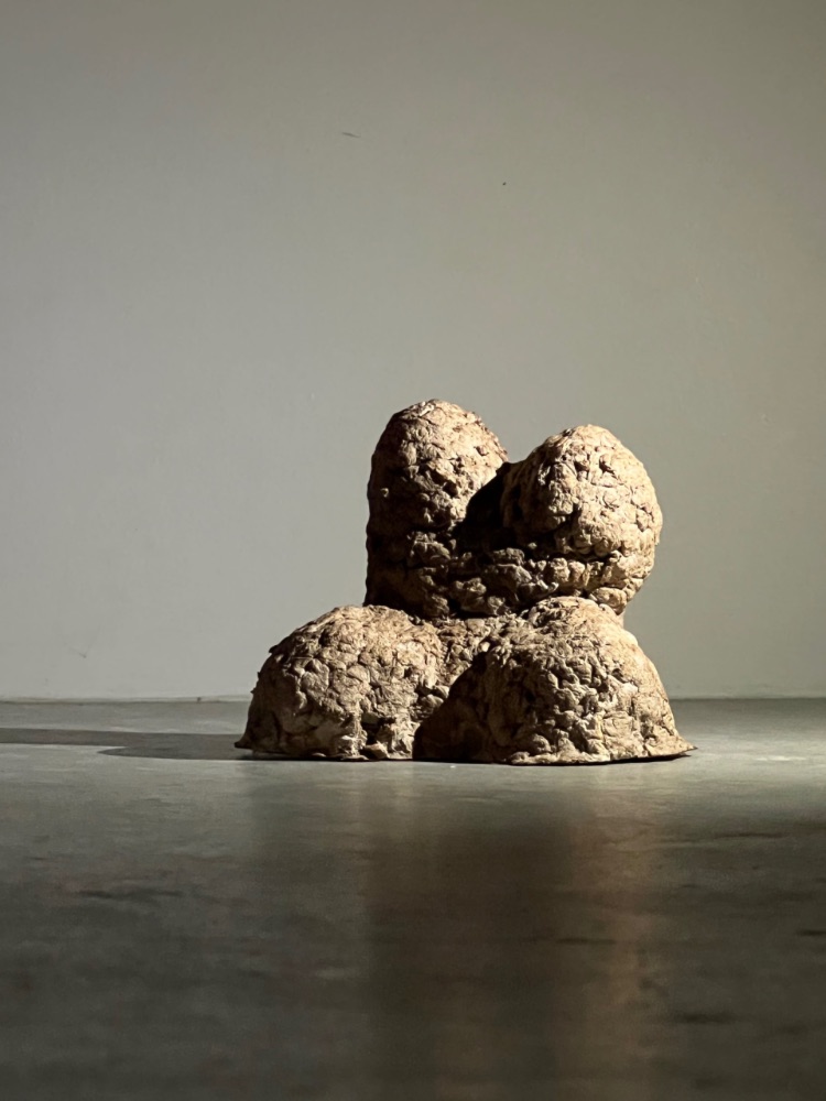 Jonathan Thomson Art | Sculpture | Organic | Kata Tjuta