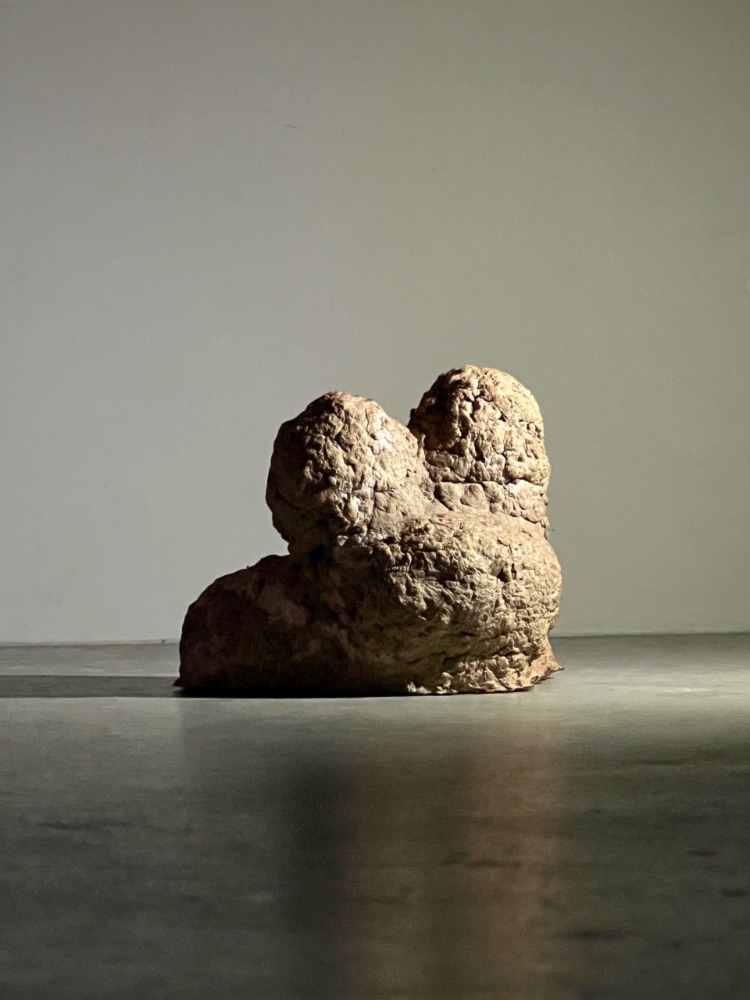 Jonathan Thomson Art | Sculpture | Organic | Kata Tjuta