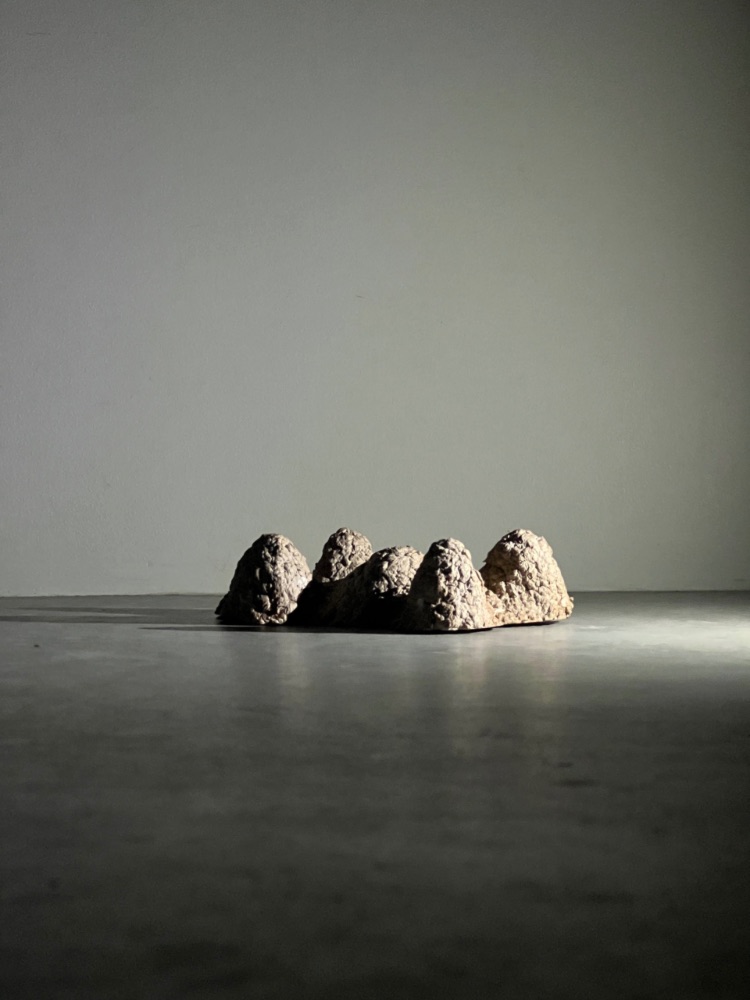 Jonathan Thomson Art | Sculpture | Organic | Kata Tjuta